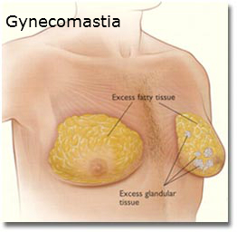 Testosterone level in male