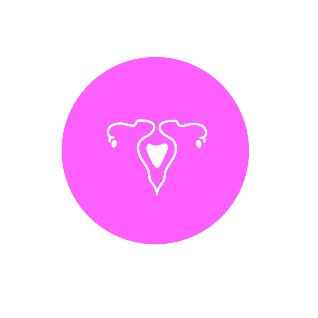Vaginal Mesh