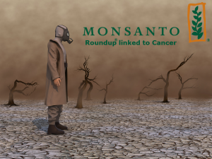 Monsanto Roundup Cancer