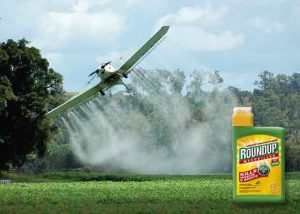 Monsanto Roundup Spray