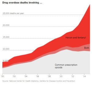 opioid drug overdose deaths numbers