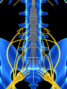 What Lawyers Should Know About Spinal Cord Stimulators - OAS